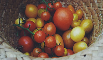 Proper diversification ups the odds of investment success
